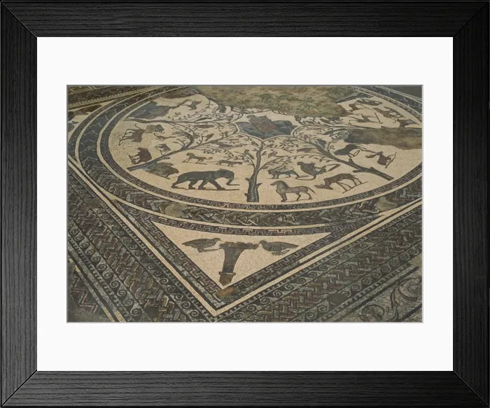 Framed Print : Mosaic floor Framed Print : Mosaic floor