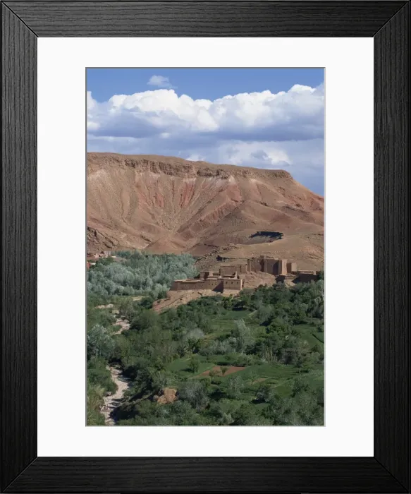 Framed Print : High angle view of oasis Framed Print : High angle view of oasis