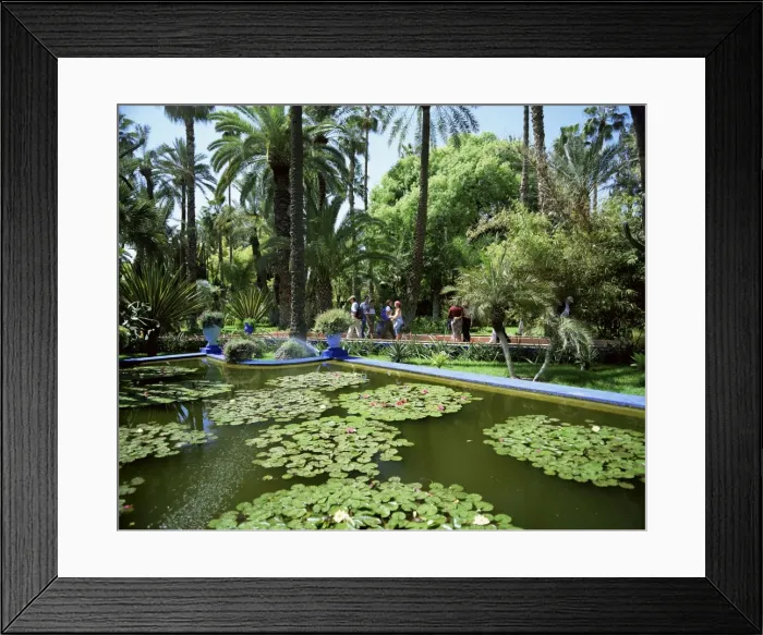 Framed Print : Jardin Majorelle Framed Print : Jardin Majorelle