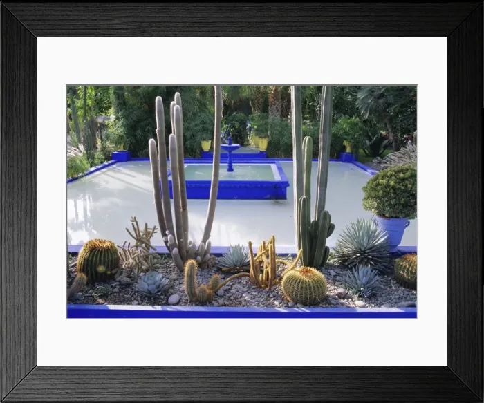 Framed Print : Majorelle Gardens Framed Print : Majorelle Gardens