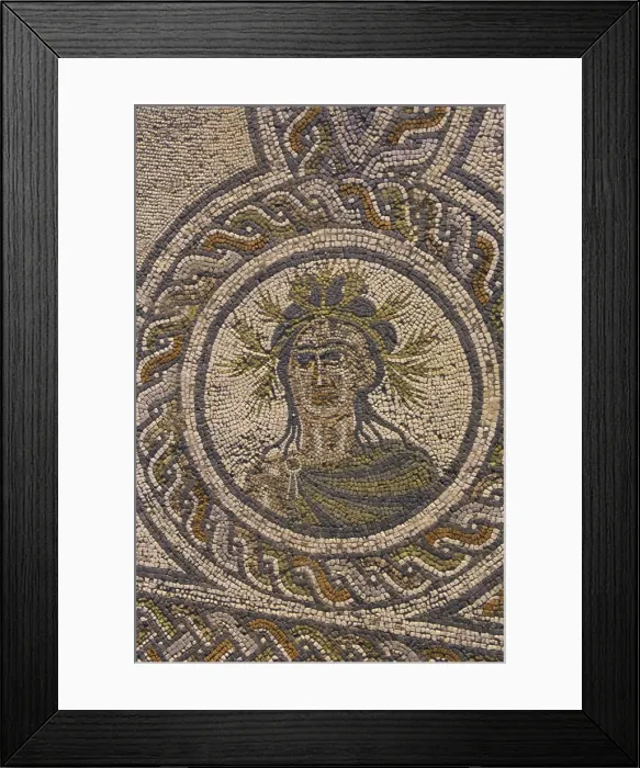 Framed Print : Mosaic, Roman archaeological site Framed Print : Mosaic, Roman archaeological site