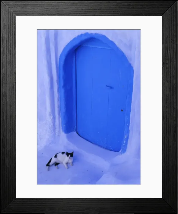 Framed Print : Blue door and cat Framed Print : Blue door and cat