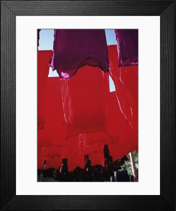 Framed Print : Red dyed cloth drying Framed Print : Red dyed cloth drying