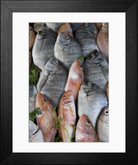 Framed Print : Fish for sale in the souk Framed Print : Fish for sale in the souk
