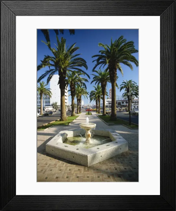 Framed Print : Water fountain and palm trees on the promenade on Boulevard Framed Print : Water fountain and palm trees on the promenade on Boulevard