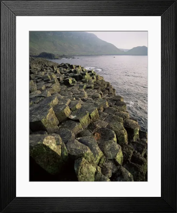 Framed Print : Giants Causeway Framed Print : Giants Causeway