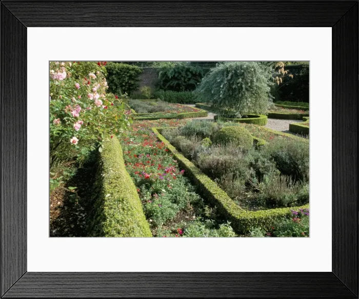 Framed Print : Benvarden garden Framed Print : Benvarden garden