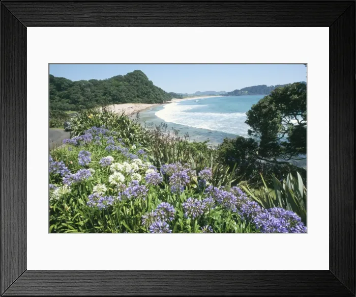 Framed Print : Hot Water Beach Framed Print : Hot Water Beach
