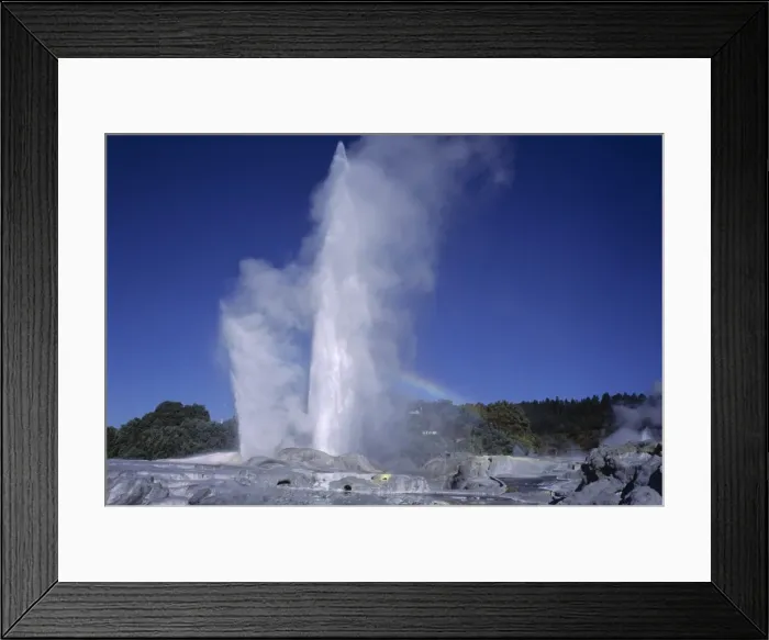 Framed Print : Pohutu Geyser at Whakarewarewa Framed Print : Pohutu Geyser at Whakarewarewa