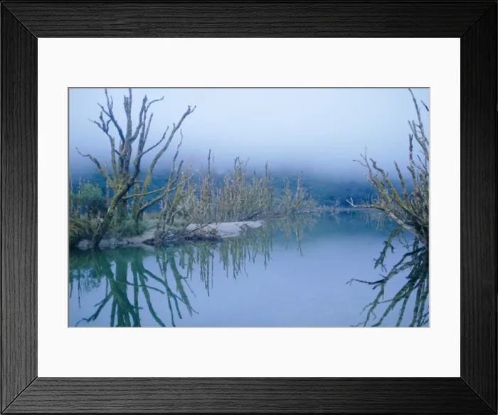 Framed Print : Dead Lake, Milford Track Framed Print : Dead Lake, Milford Track