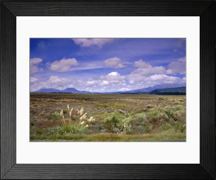 Framed Print : North Island Framed Print : North Island