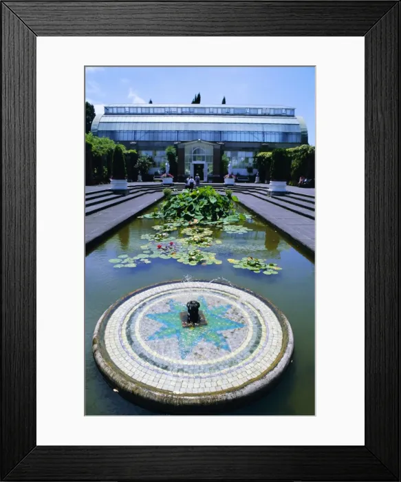 Framed Print : Lily pond and fountain Framed Print : Lily pond and fountain