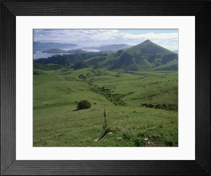 Framed Print : Landscape of volcanic hills looking to Taiaroa Head Framed Print : Landscape of volcanic hills looking to Taiaroa Head