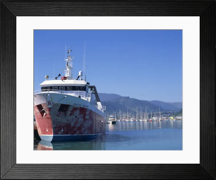 Framed Print : Ship moored in harbour at Nelson Framed Print : Ship moored in harbour at Nelson