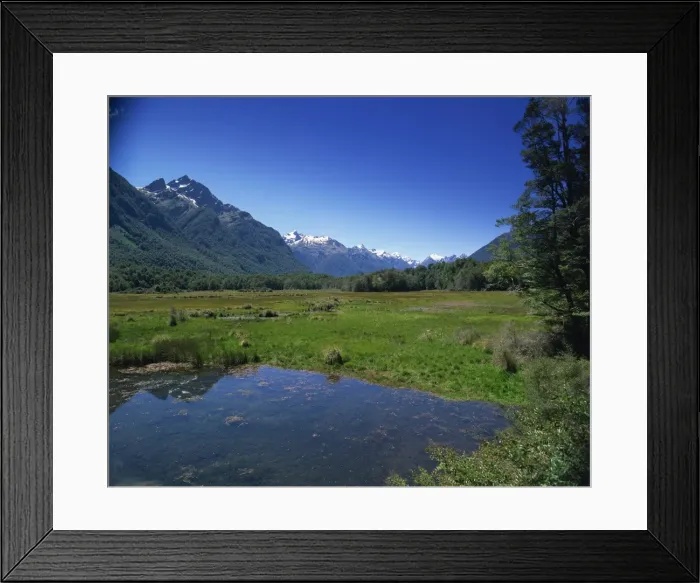 Framed Print : Fiordland National Park Framed Print : Fiordland National Park