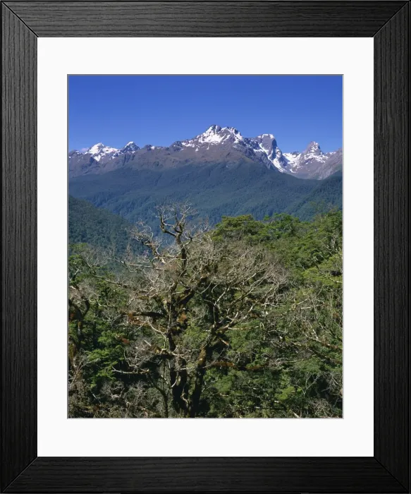 Framed Print : Fiordland National Park Framed Print : Fiordland National Park