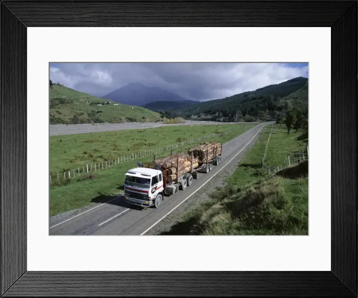 Framed Print : Logging trucks on the road near Gisborne Framed Print : Logging trucks on the road near Gisborne