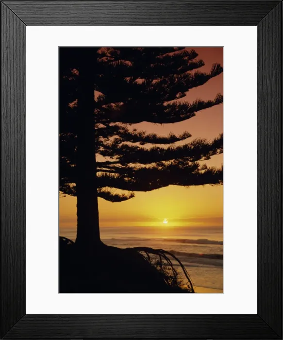 Framed Print : Sunrise, Pine Beach Framed Print : Sunrise, Pine Beach