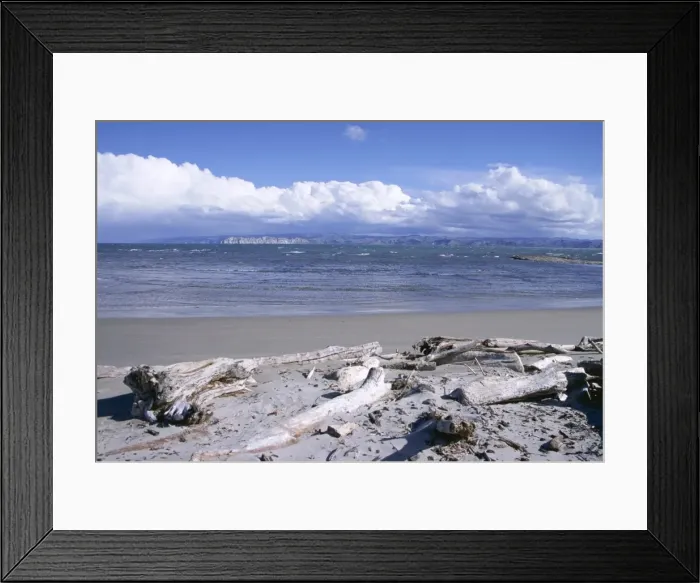 Framed Print : Large amount of driftwood on beach