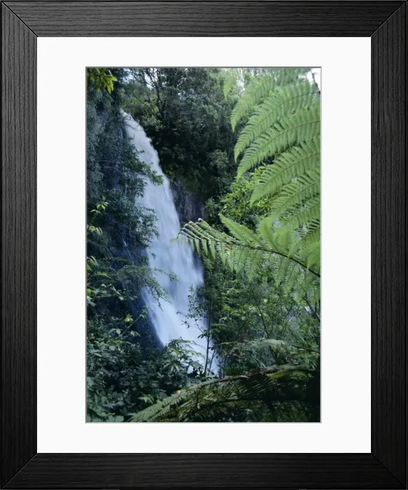 Framed Print : Waiere Falls near Te Wairoa Framed Print : Waiere Falls near Te Wairoa