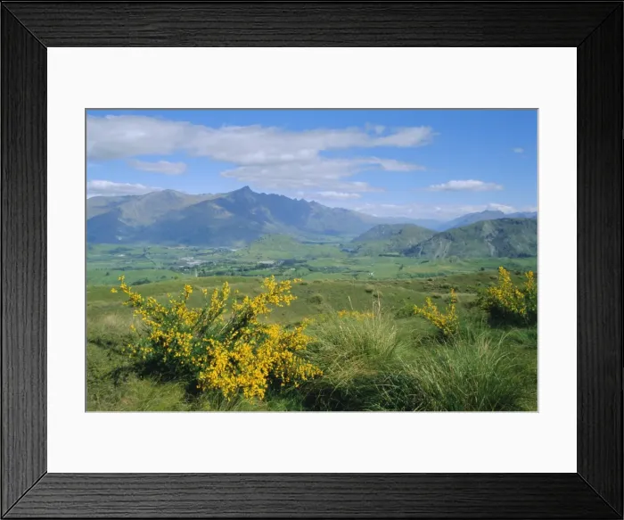 Framed Print : The Remarkables Framed Print : The Remarkables