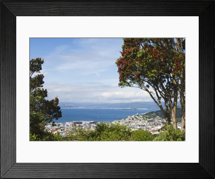 Framed Print : Panoramic city centre view overlooking Oriental Bay Framed Print : Panoramic city centre view overlooking Oriental Bay