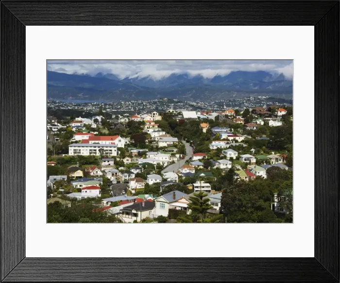 Framed Print : Panoramic view of suburban houses