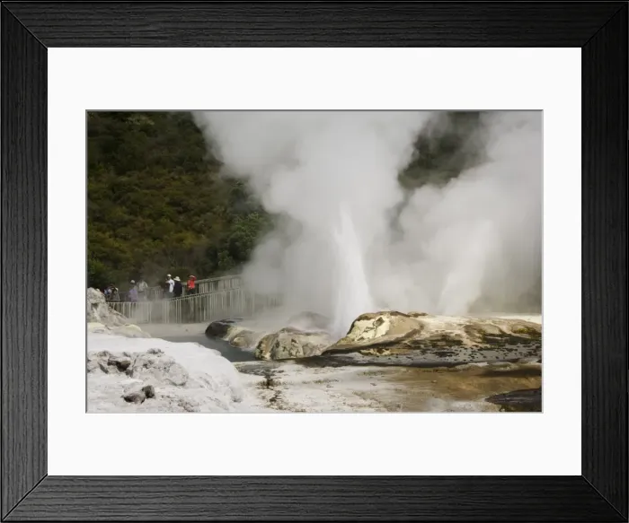 Framed Print : Pohutu Geyser at Te Puia Wakarewarewa Geothermal Village Framed Print : Pohutu Geyser at Te Puia Wakarewarewa Geothermal Village