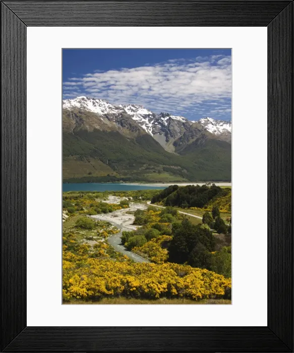 Framed Print : Bright summer flowers and snow capped mountains near Queenstown Framed Print : Bright summer flowers and snow capped mountains near Queenstown