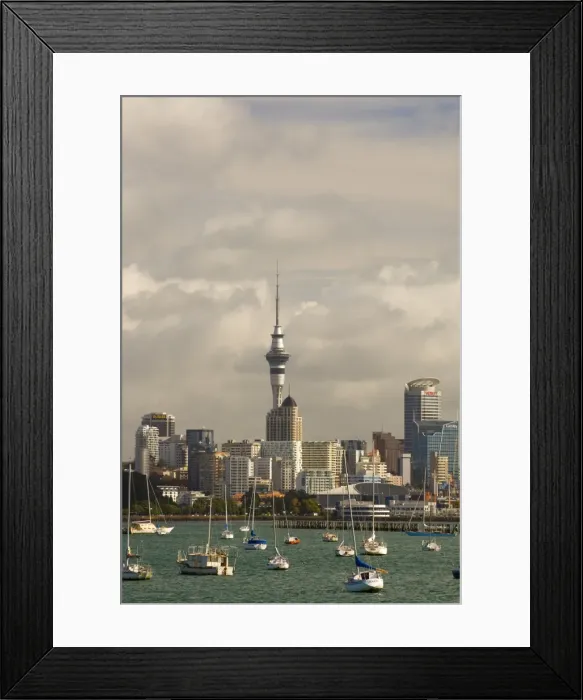 Framed Print : Okahu Bay boat harbour and skyline