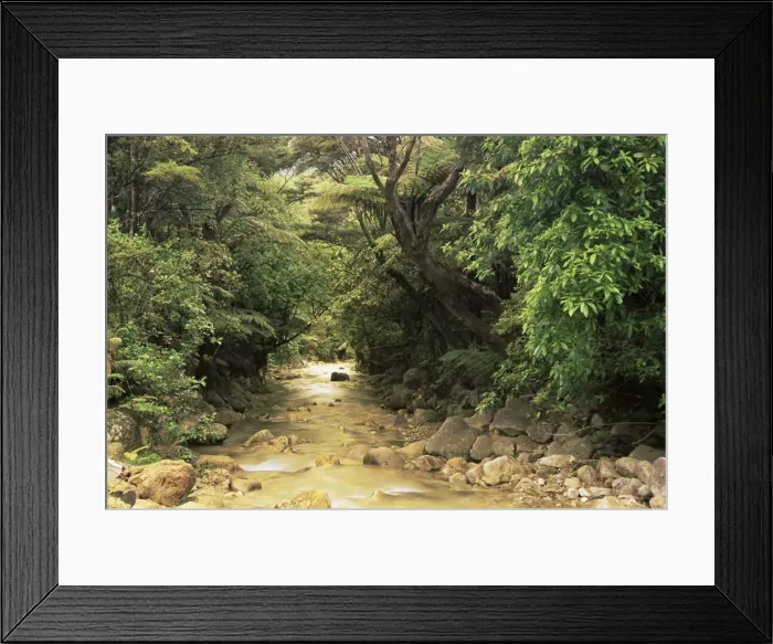 Framed Print : Mountains stream Framed Print : Mountains stream
