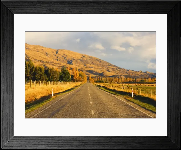 Framed Print : Road, Tarras Framed Print : Road, Tarras
