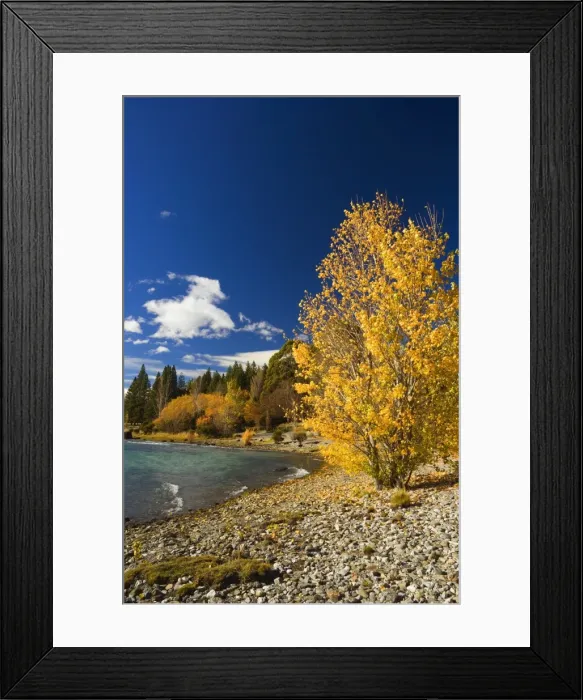 Framed Print : Shore of Lake Wanaka Framed Print : Shore of Lake Wanaka