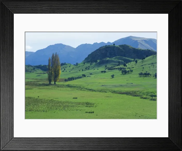 Framed Print : Pasture, Wanaka Framed Print : Pasture, Wanaka