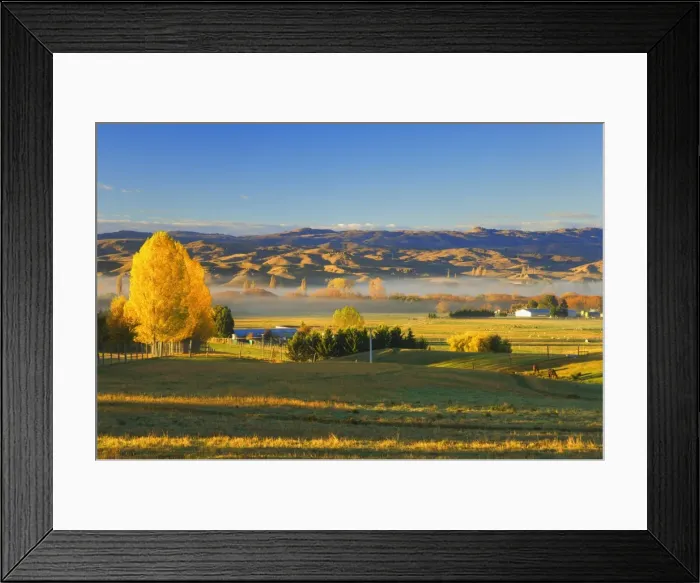 Framed Print : Farmland, Alexandra Framed Print : Farmland, Alexandra