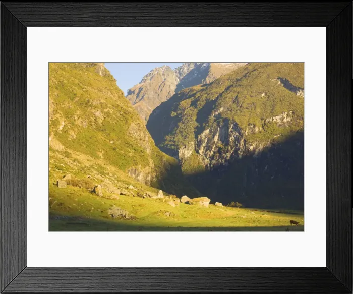 Framed Print : Matukituki Valley Framed Print : Matukituki Valley
