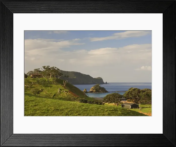 Framed Print : Coastline, Bay of Islands Framed Print : Coastline, Bay of Islands