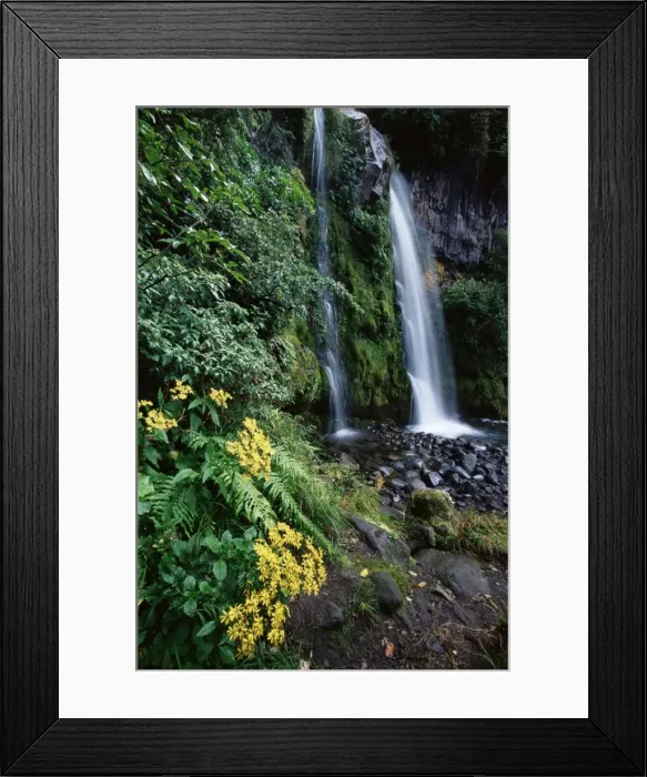 Framed Print : Dawson Falls Framed Print : Dawson Falls