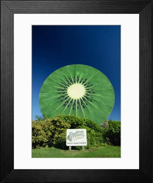 Framed Print : Huge kiwi fruit sign at Te Puke Framed Print : Huge kiwi fruit sign at Te Puke