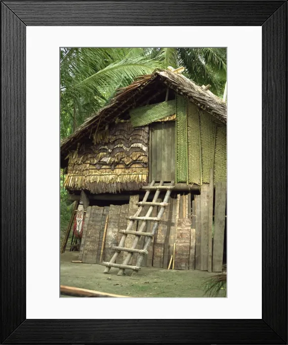 Framed Print : Traditional house with ladder to door Framed Print : Traditional house with ladder to door