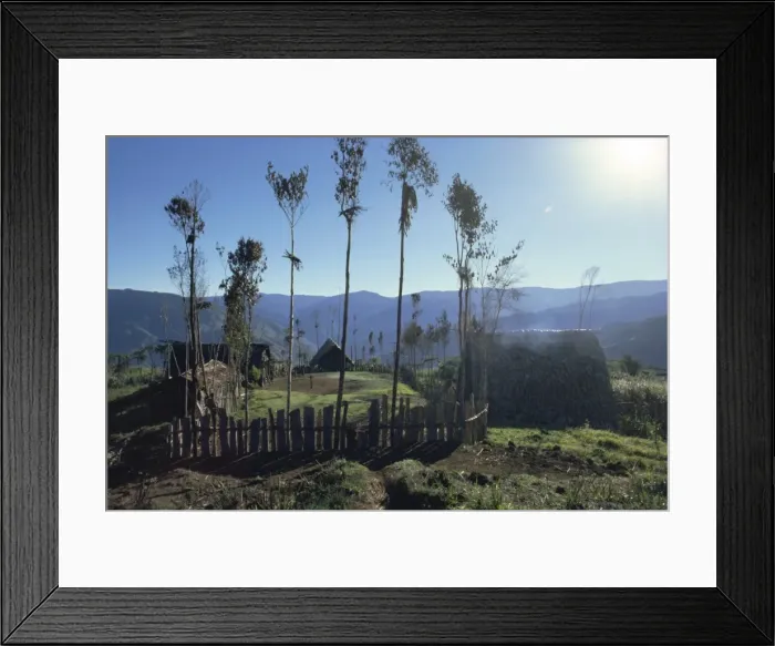 Framed Print : Poporata villae Framed Print : Poporata villae
