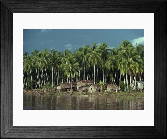 Framed Print : A riverside village beneath palm trees in the Gulf Framed Print : A riverside village beneath palm trees in the Gulf