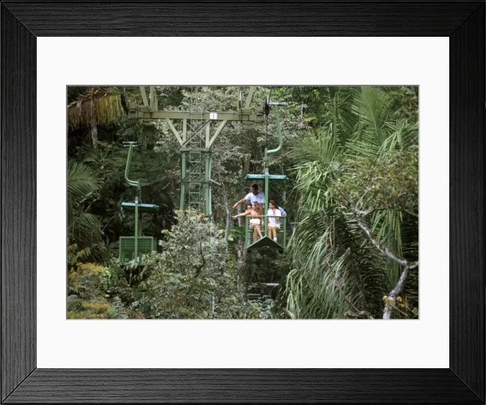 Framed Print : Aerial tramway on forest canopy Framed Print : Aerial tramway on forest canopy