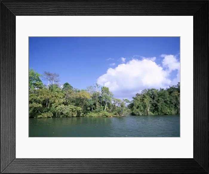 Framed Print : Island on Gatun Lake Framed Print : Island on Gatun Lake