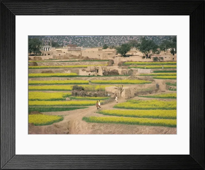 Framed Print : Village near Rawalpindi Framed Print : Village near Rawalpindi
