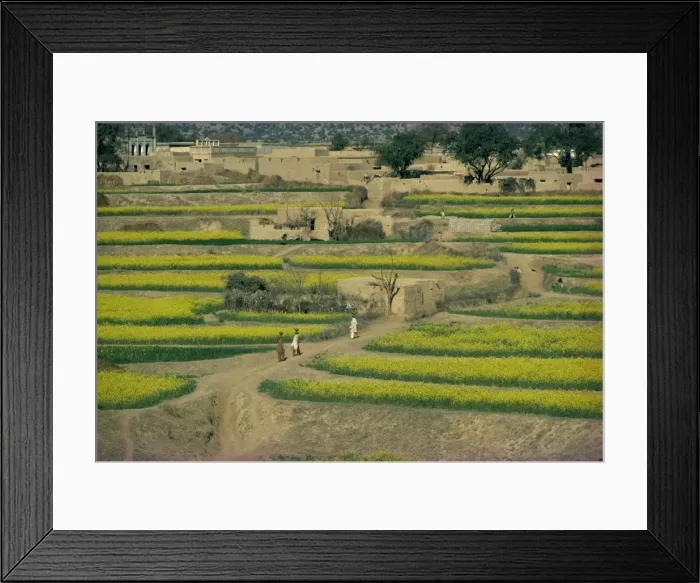 Framed Print : Women walking up a path to their village through farmland Framed Print : Women walking up a path to their village through farmland