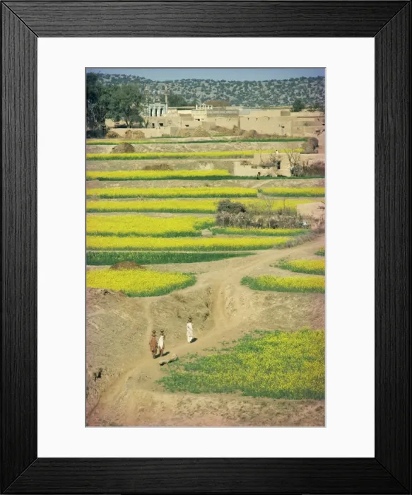 Framed Print : Village near Rawalpindi Framed Print : Village near Rawalpindi