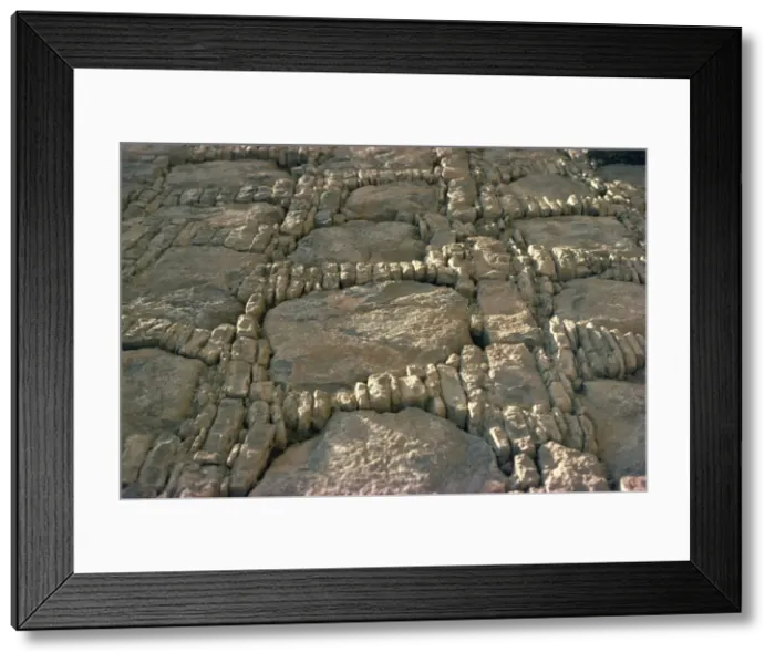 Framed Print : Mohra Moradu Framed Print : Mohra Moradu