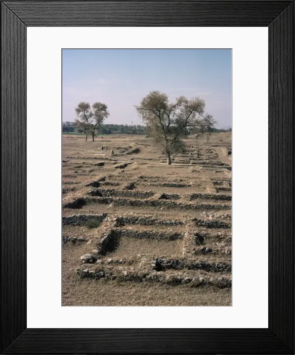 Framed Print : Sirkap, Taxila Framed Print : Sirkap, Taxila