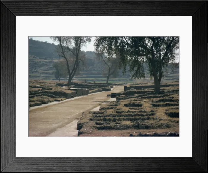 Framed Print : Sirkap, Taxila Framed Print : Sirkap, Taxila